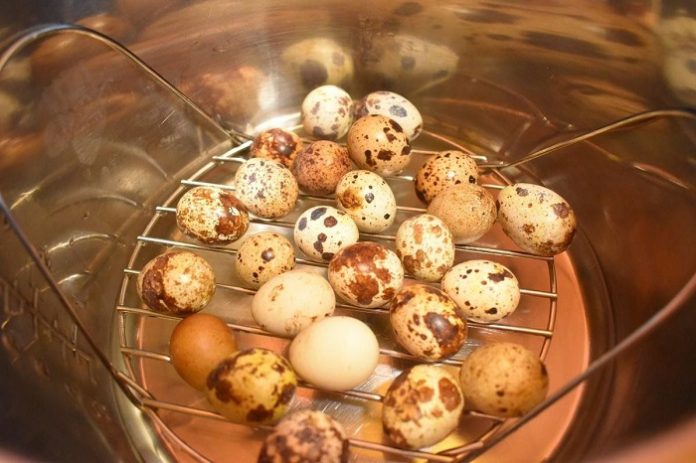 how to cook quail eggs