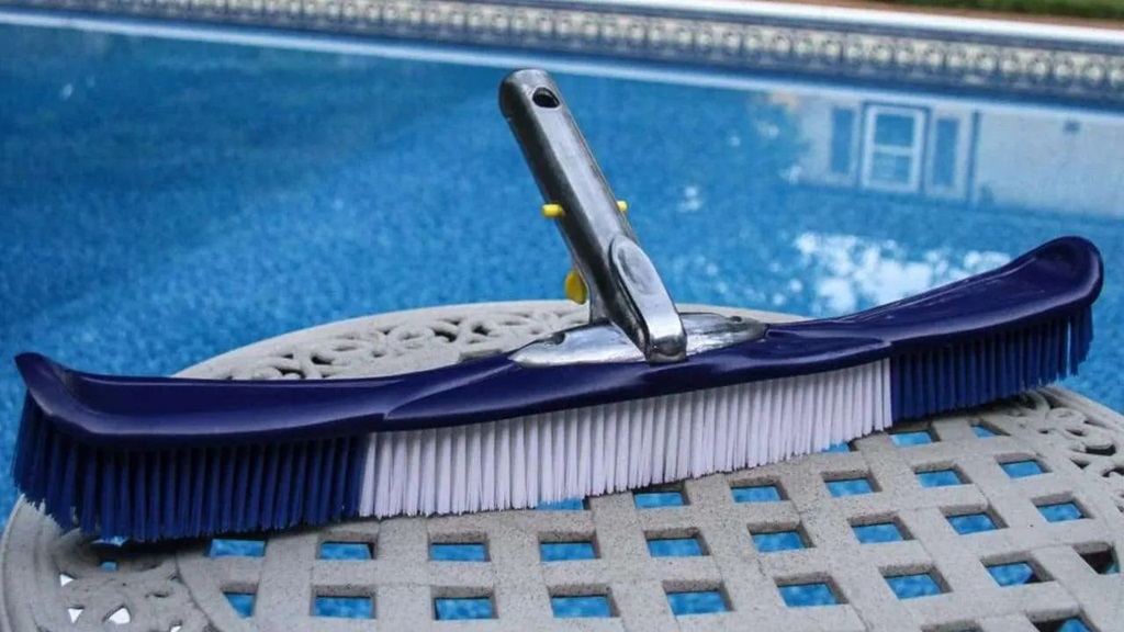 5 Best Pool Brushes 2023 Reviews